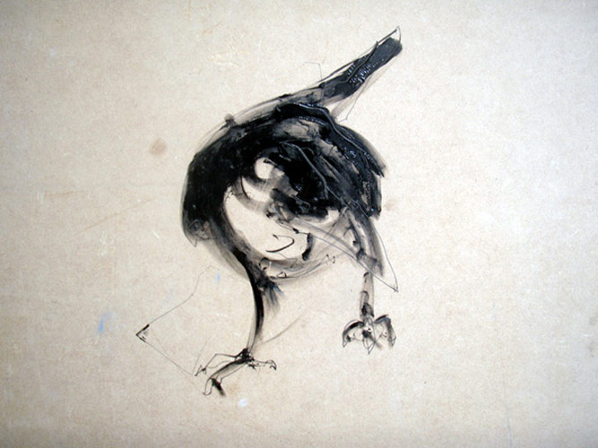 Crow drawing
