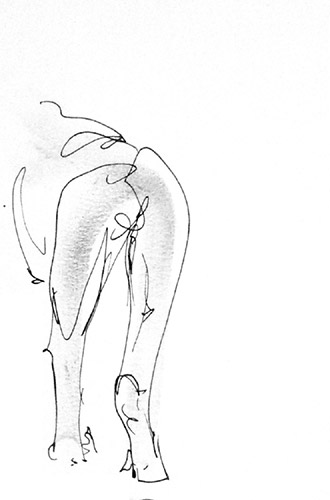 Drawings. Monkey. 2014