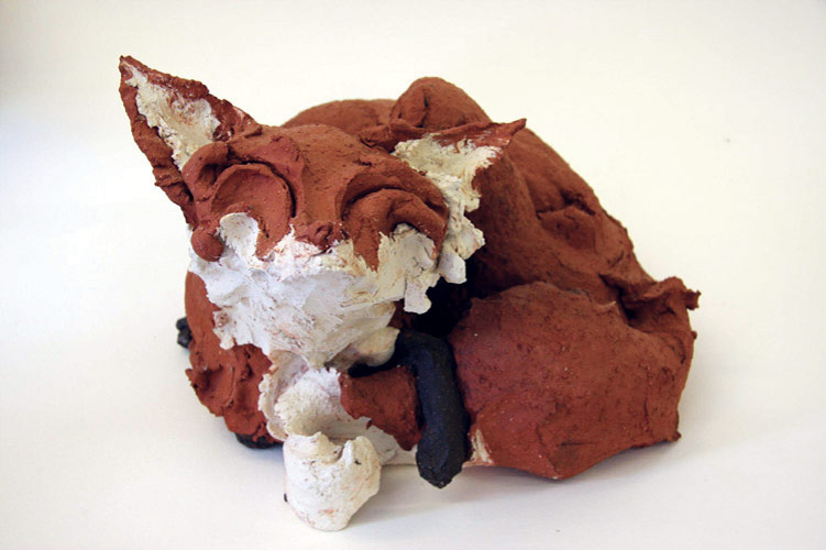 Curled Scratching fox