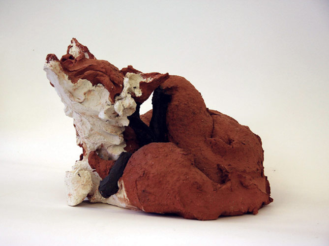 Curled Scratching fox