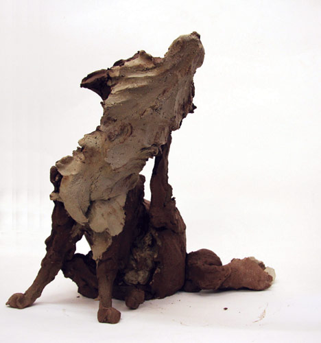 Scratching fox front