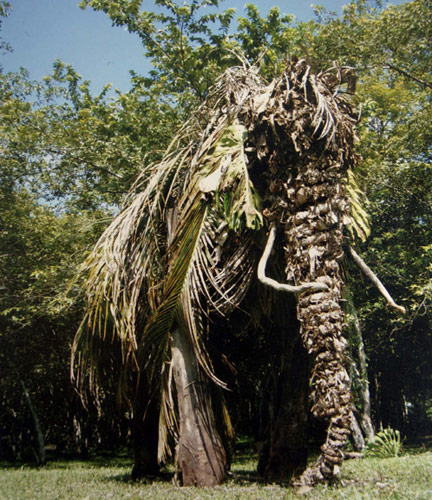 Mammoth Belize Jungle