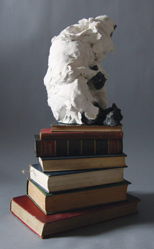 Monkey sat on books