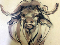 Buffalo sketch - Stephanie Quayle